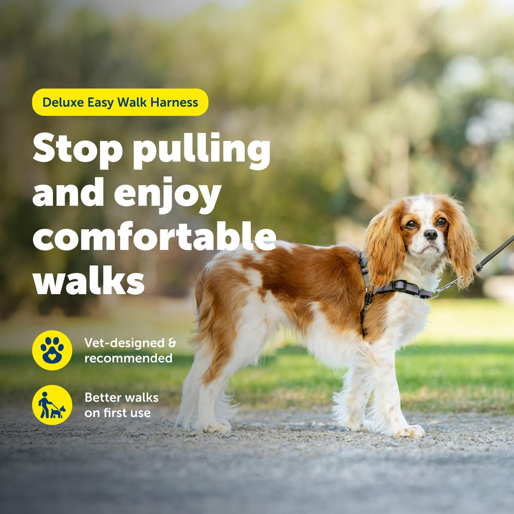 Patented martingale loop design helps steer your dog gently on walks
