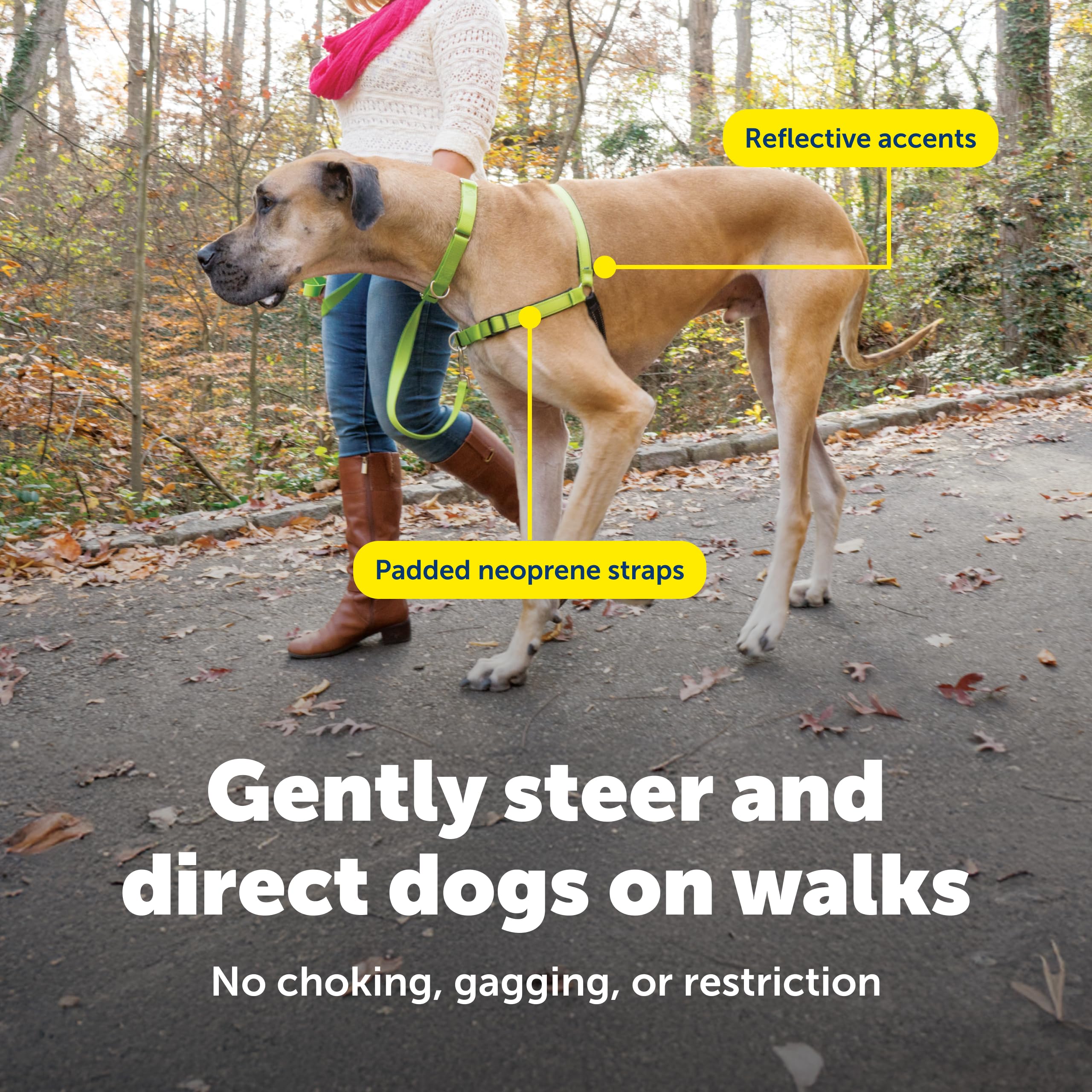 PetSafe Easy Walk Deluxe harness quick-snap straps for fast, easy fitting.