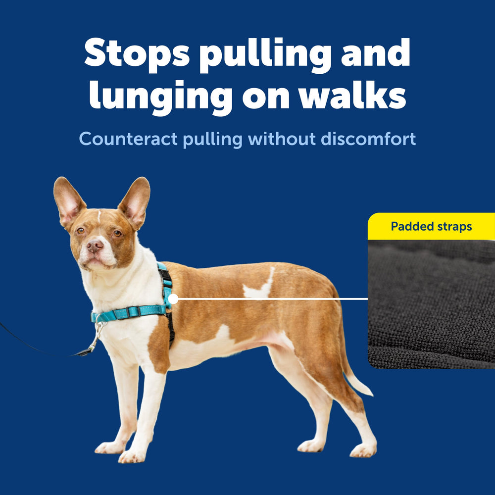 PetSafe Easy Walk Deluxe quick-snap straps allow fast, secure fitting.