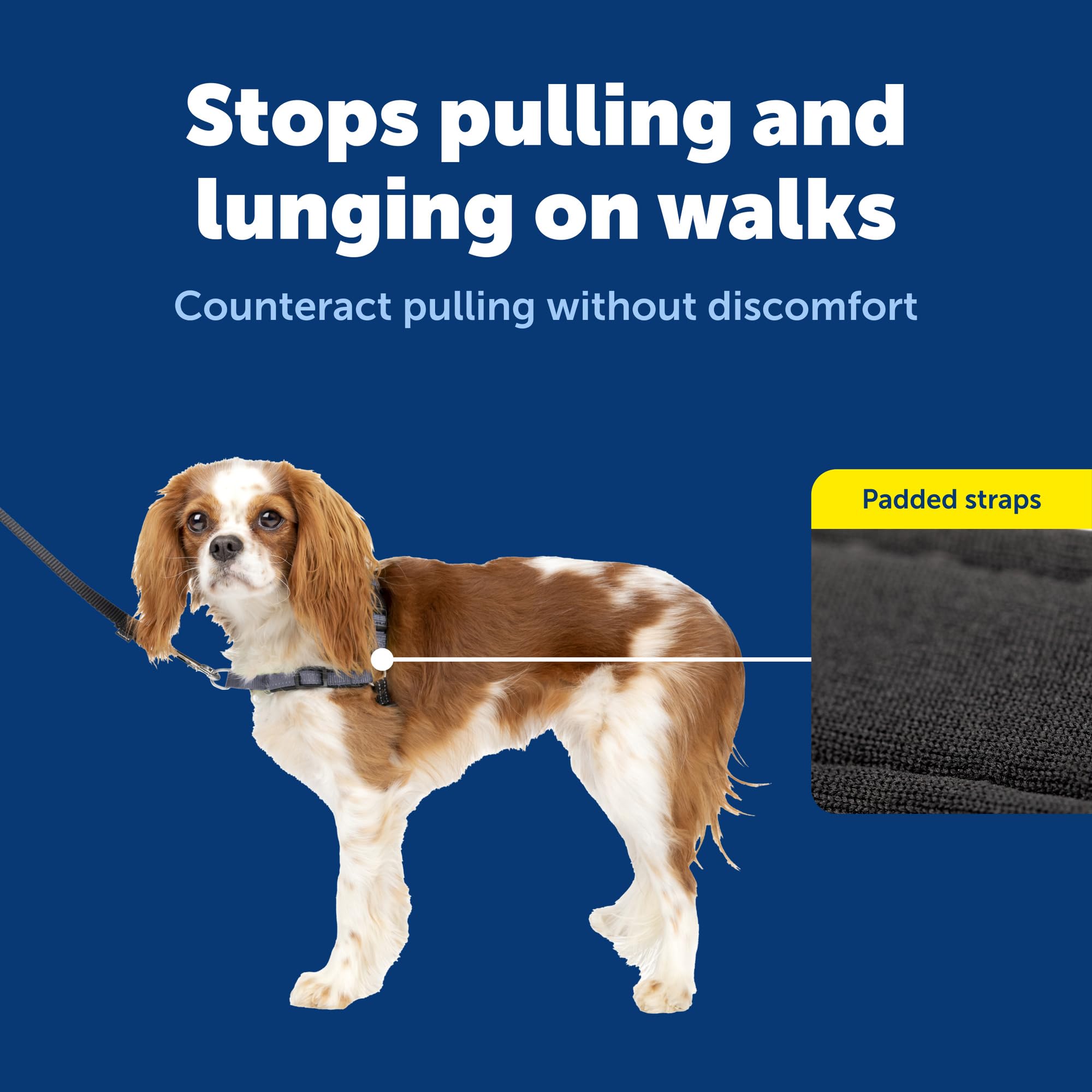 Quick-snap straps make fitting fast and secure for busy owners