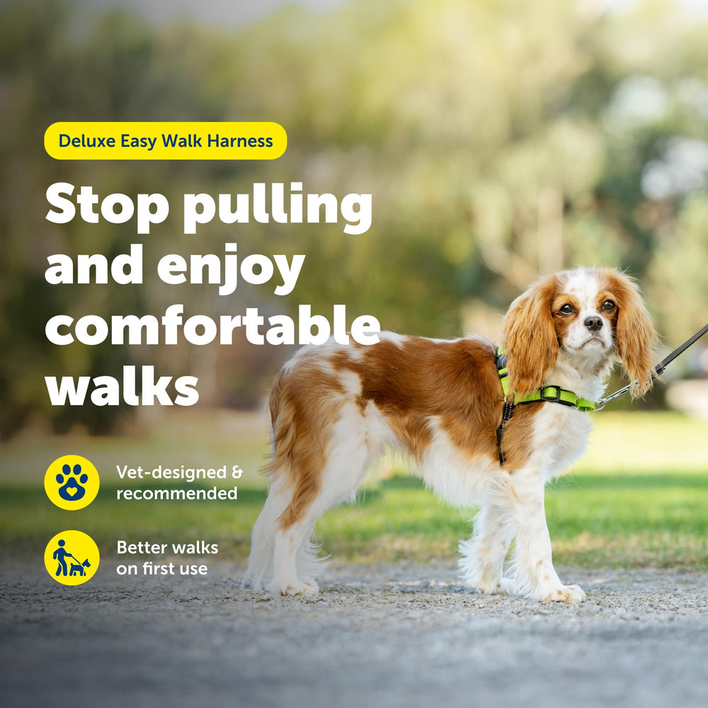 PetSafe Easy Walk Deluxe reflective strips boost night visibility.