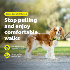 PetSafe Easy Walk Deluxe reflective strips boost night visibility.