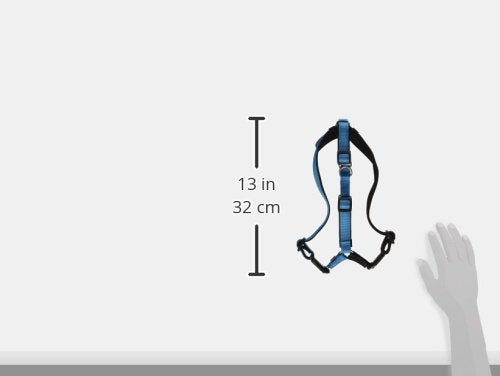 PetSafe Easy Walk Deluxe reflector strips improve nighttime visibility.
