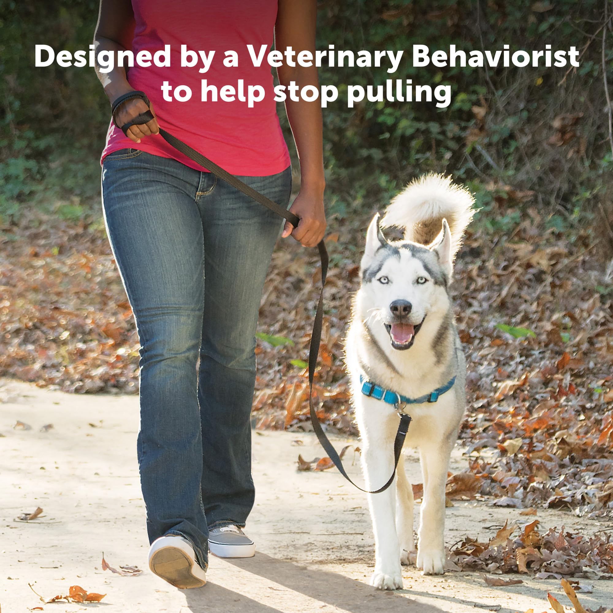 PetSafe Easy Walk Deluxe reflector strips for safer night walking
