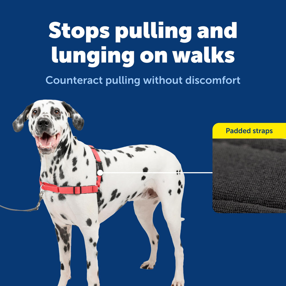 PetSafe Easy Walk Deluxe night-time view showing reflector strips for safety.