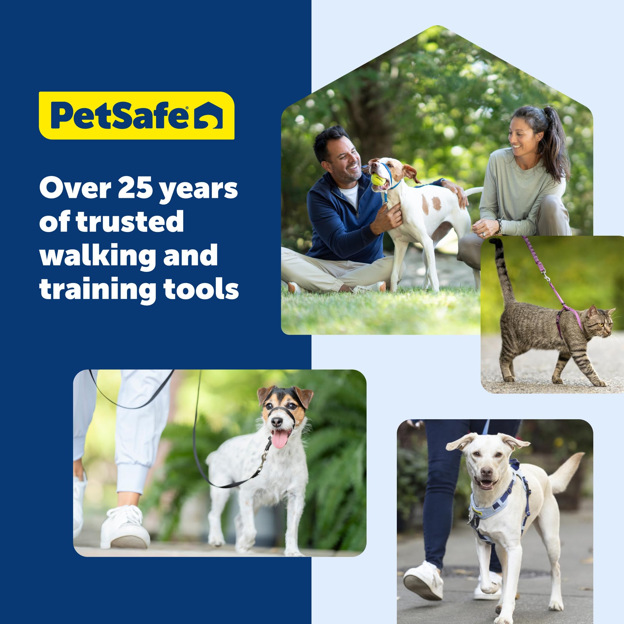 PetSafe Easy Walk Deluxe small apple size fits petite dogs well.