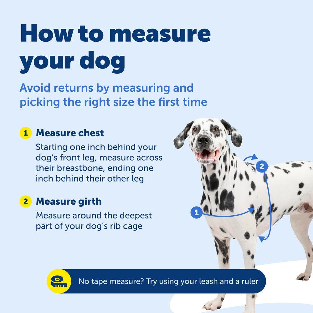 Ideal for leash training and daily walks with front-chest design