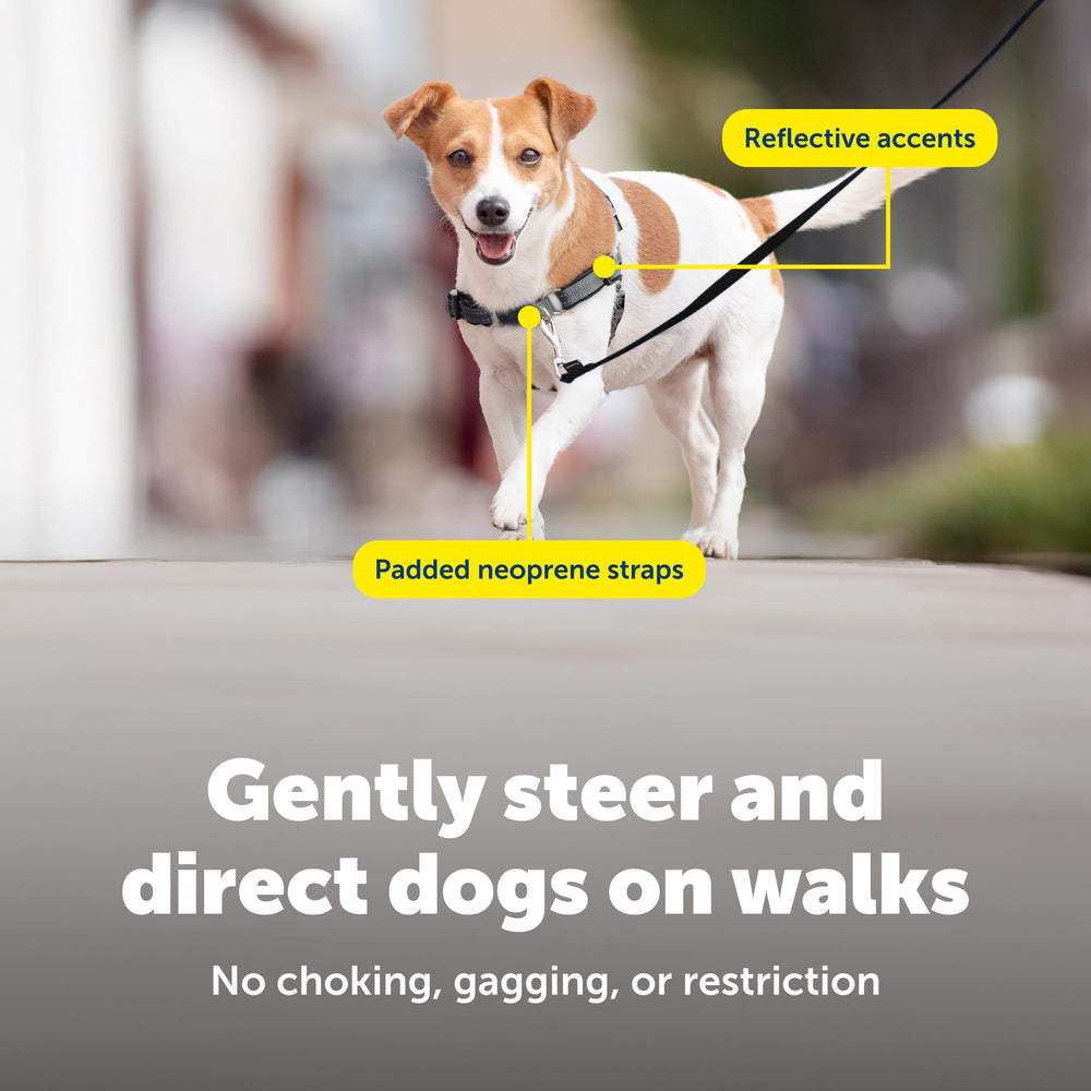 US-based PetSafe support helps with sizing and replacements