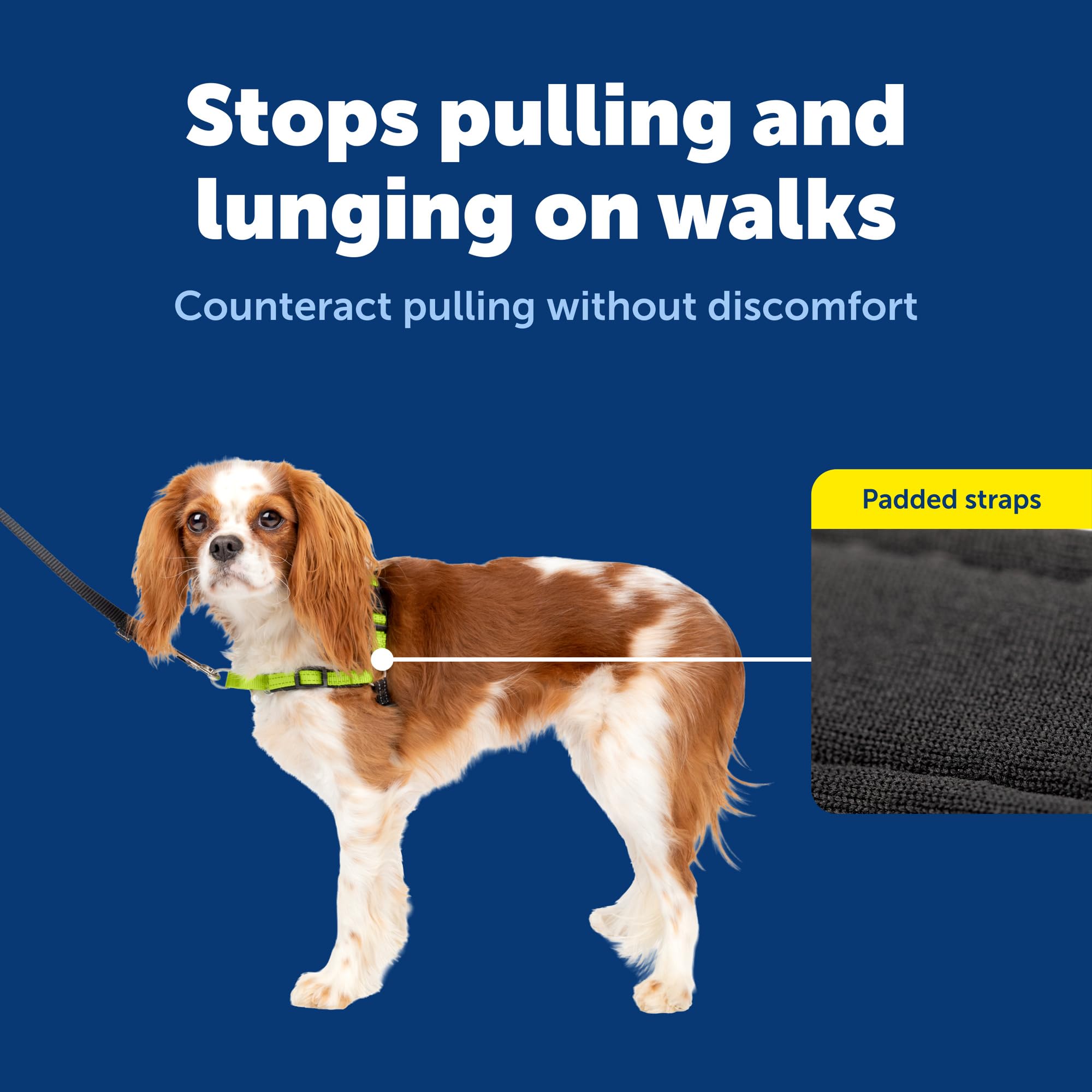 PetSafe Easy Walk Deluxe was designed by a veterinary behaviorist for better leash manners.