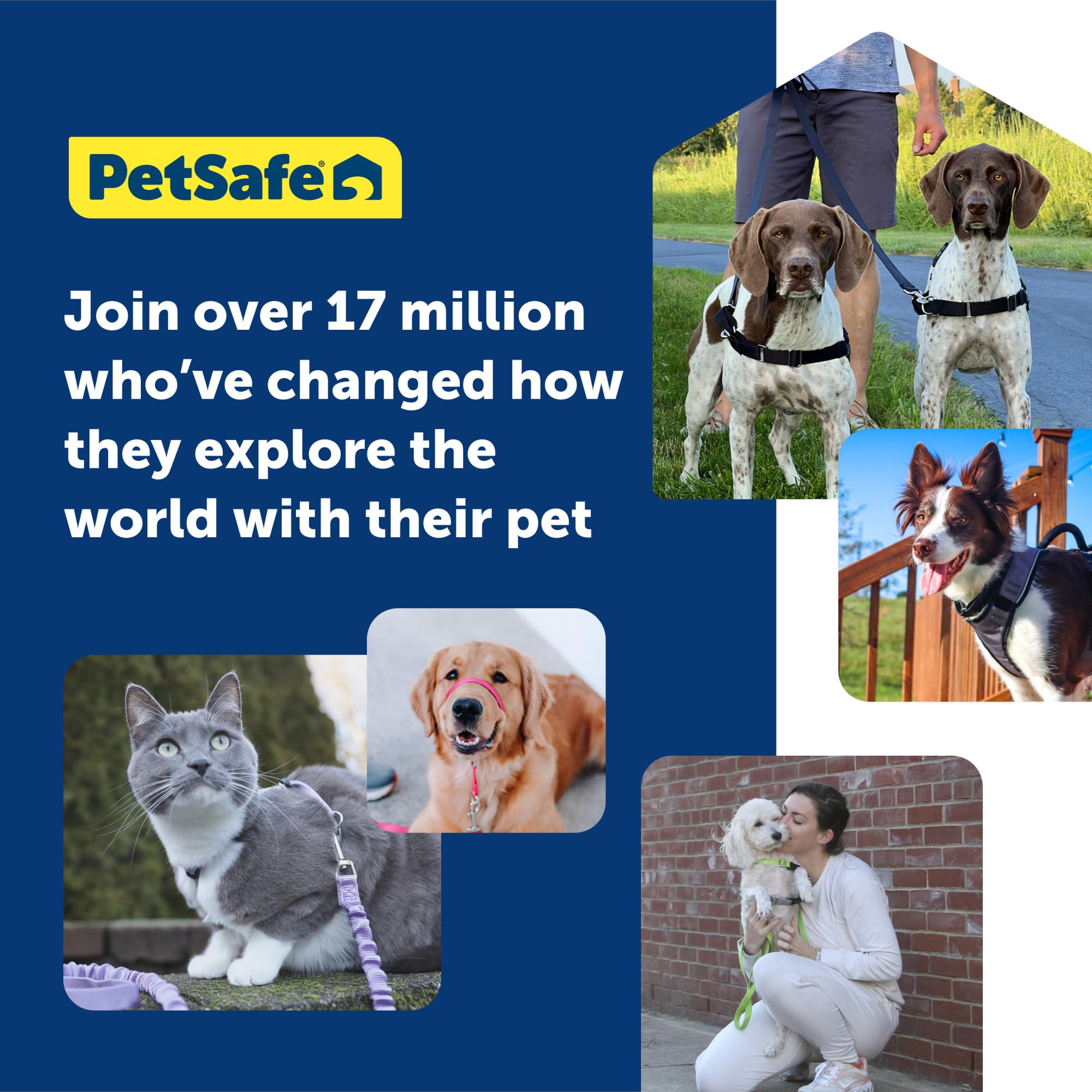 PetSafe Easy Walk Deluxe veterinary-designed harness trusted by many