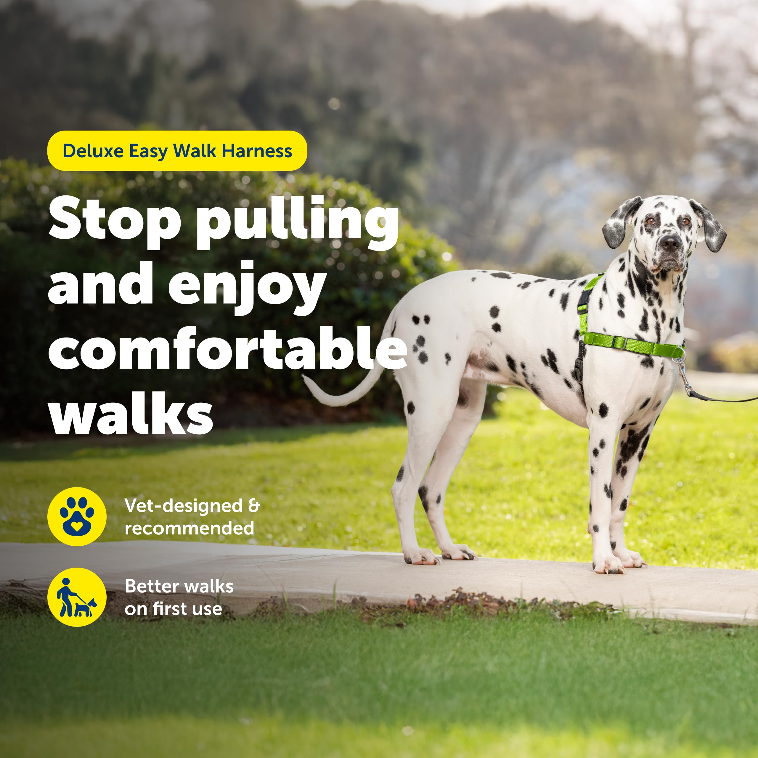 PetSafe Easy Walk Deluxe harness designed by a veterinary behaviorist for training.