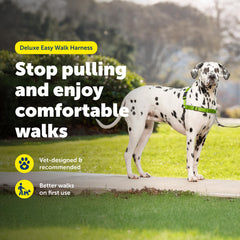 PetSafe Easy Walk Deluxe harness designed by a veterinary behaviorist for training.