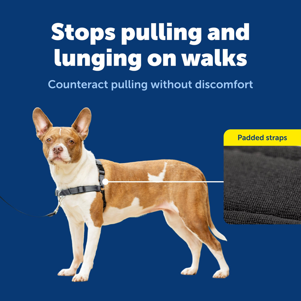 Lightweight nylon construction of PetSafe Easy Walk Deluxe for all-day wear