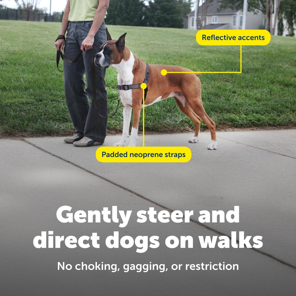 Padded shoulder straps on PetSafe Easy Walk Deluxe for enhanced comfort