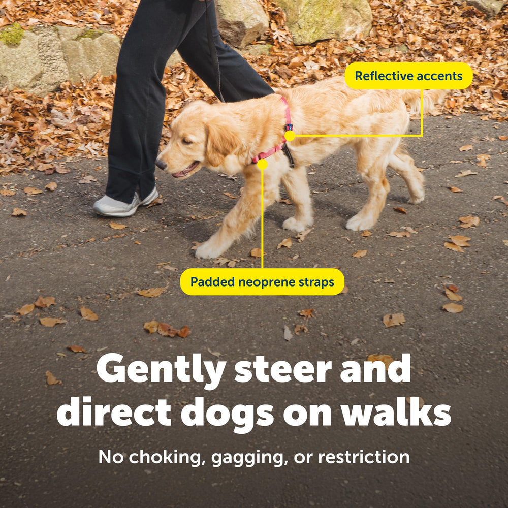 PetSafe Easy Walk Deluxe quick-snap straps enable easy on-off fitting.