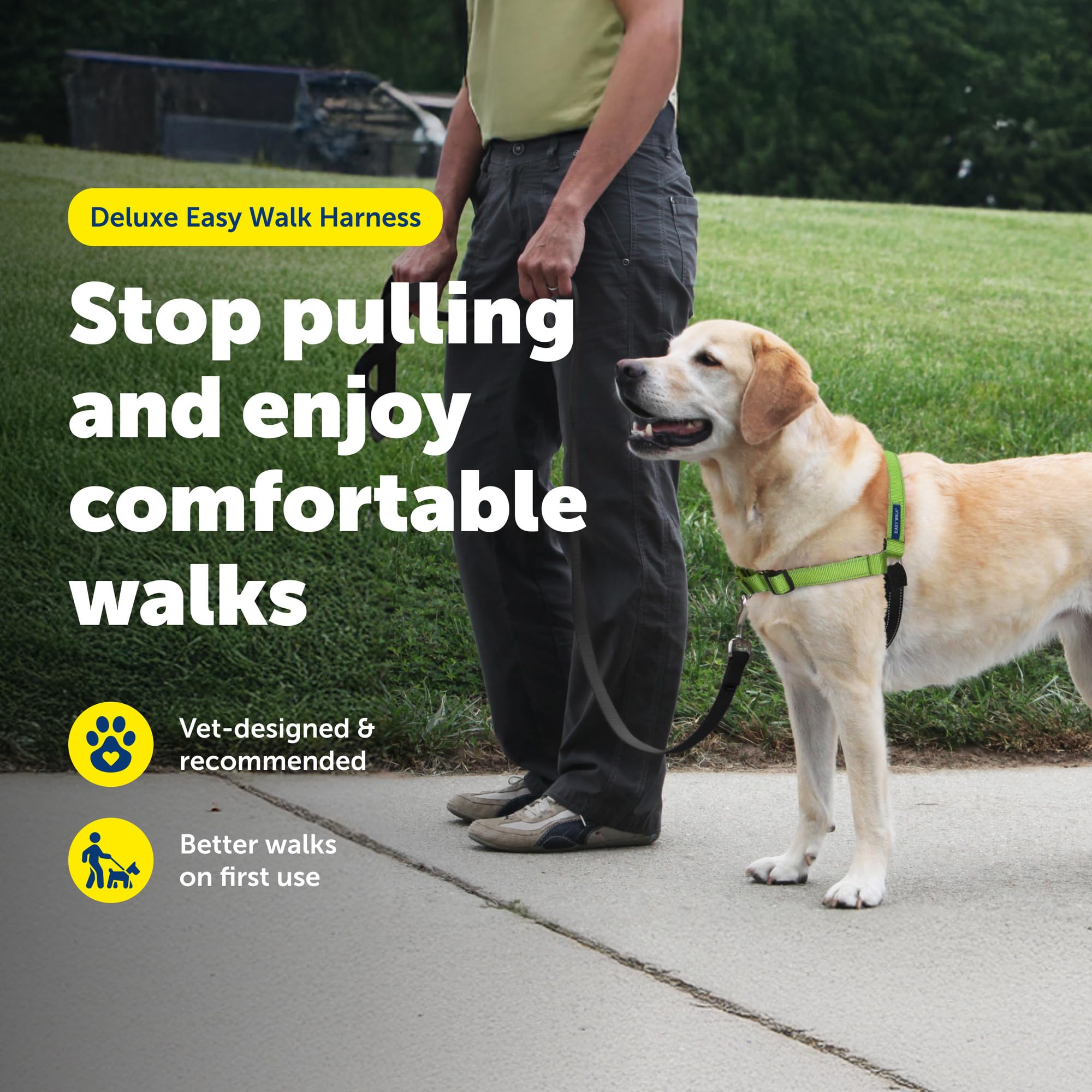 PetSafe Easy Walk Deluxe reflective strips enhance night visibility