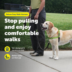 PetSafe Easy Walk Deluxe reflective strips enhance night visibility
