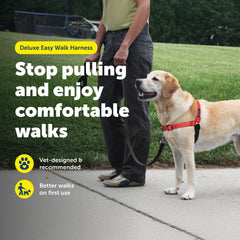 PetSafe Easy Walk Deluxe reflective strips improve night visibility on walks