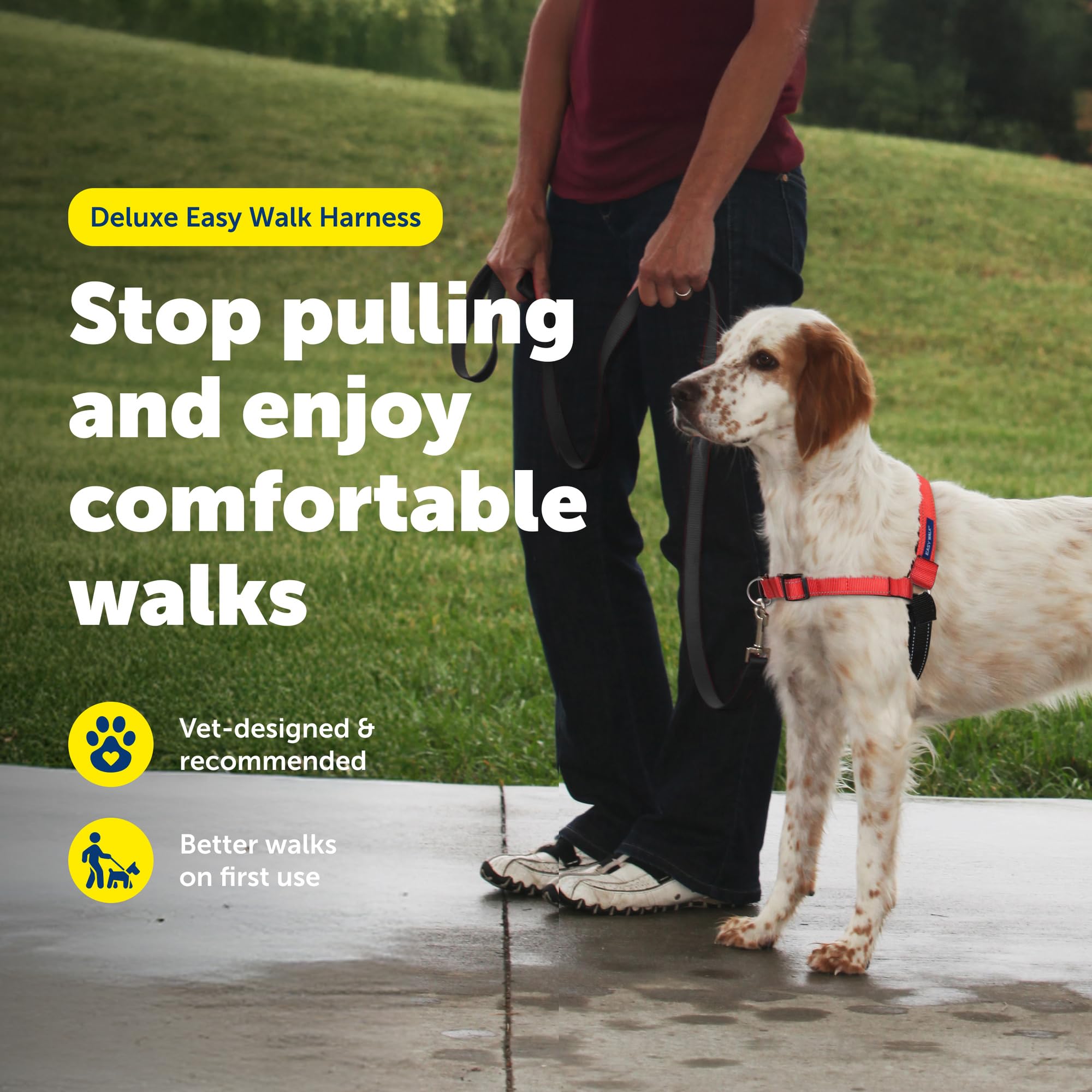 PetSafe Easy Walk Deluxe designed with veterinary behaviorist input for trusted guidance.