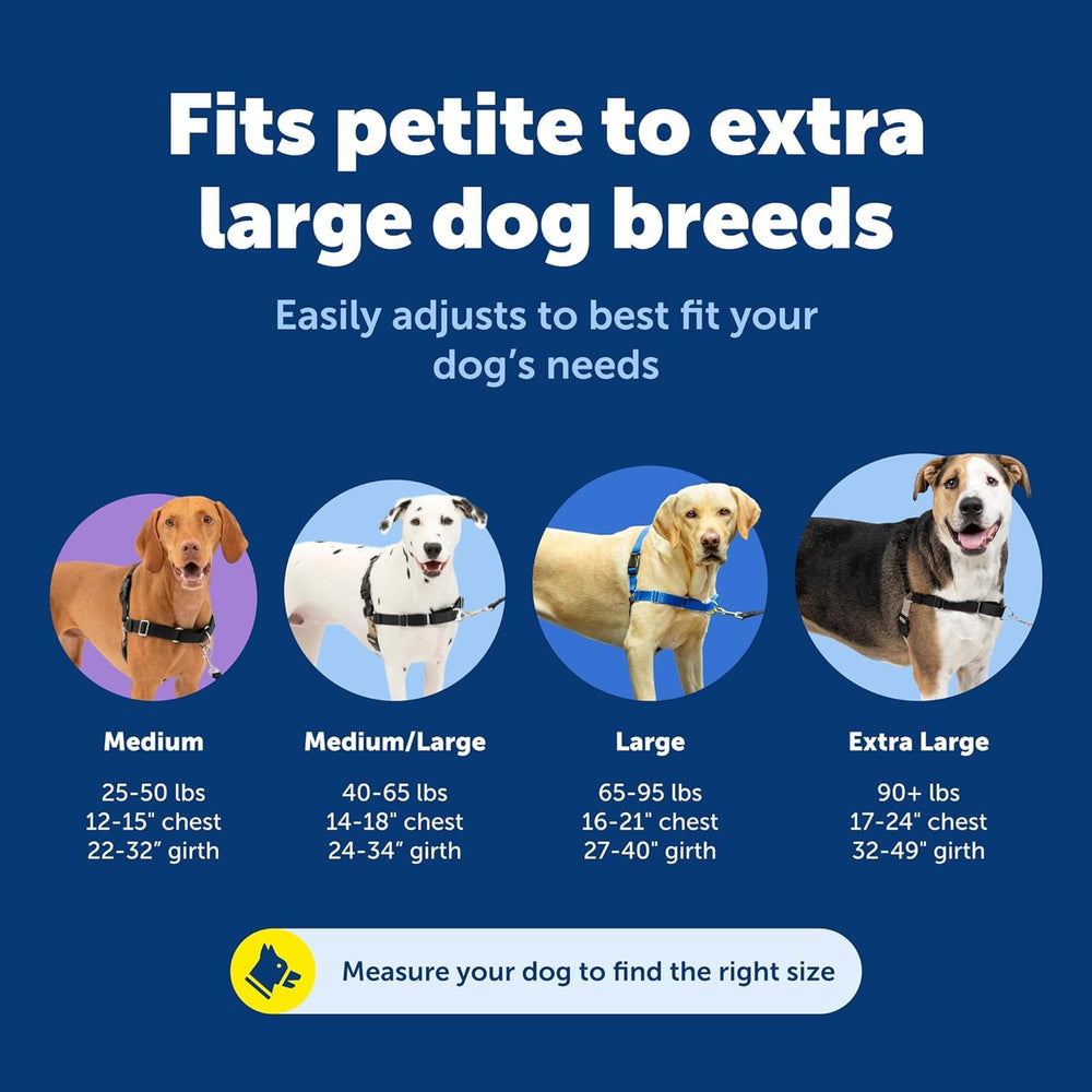 PetSafe Easy Walk durable materials for daily adventures