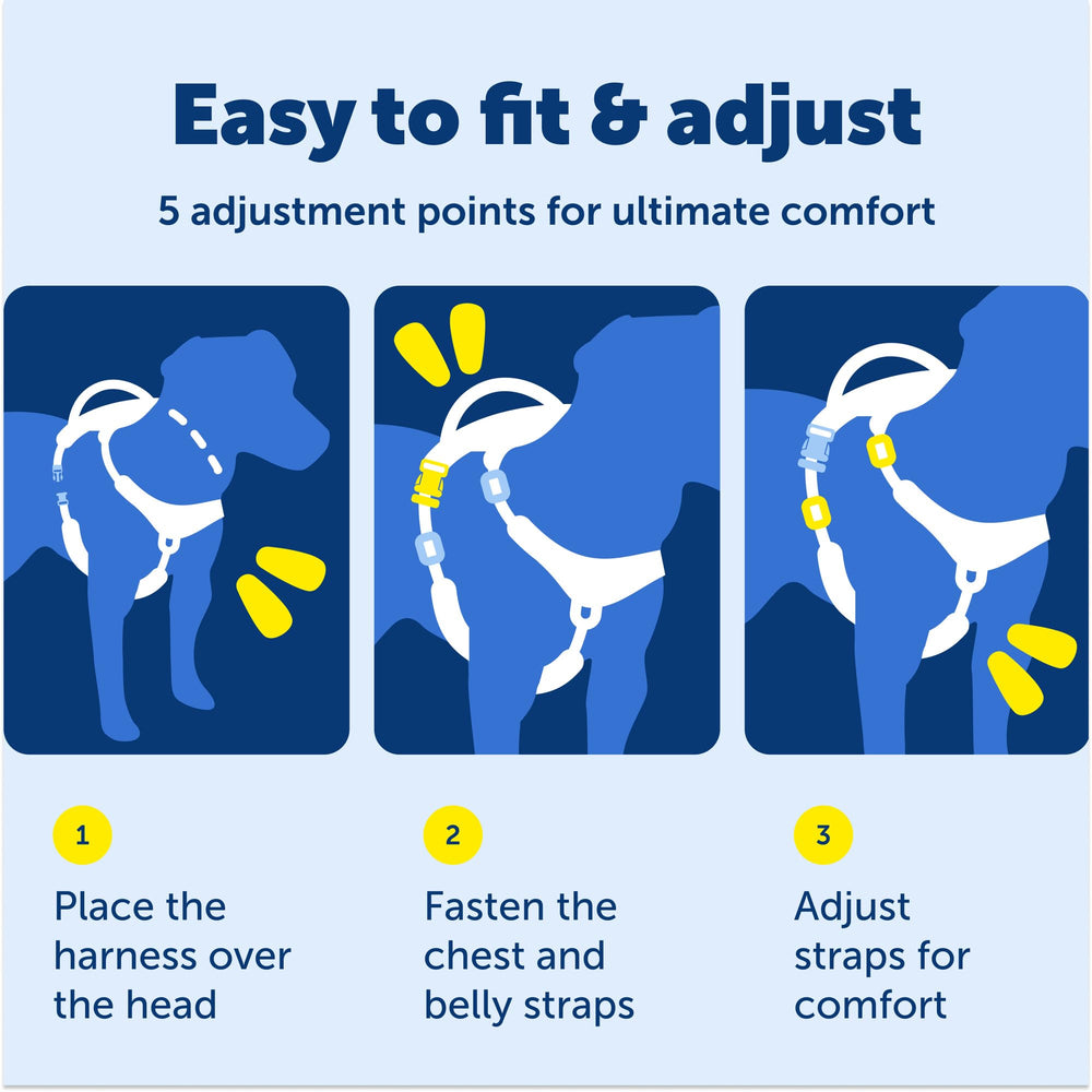PetSafe Easy Walk easy-on/off design for quick setup.