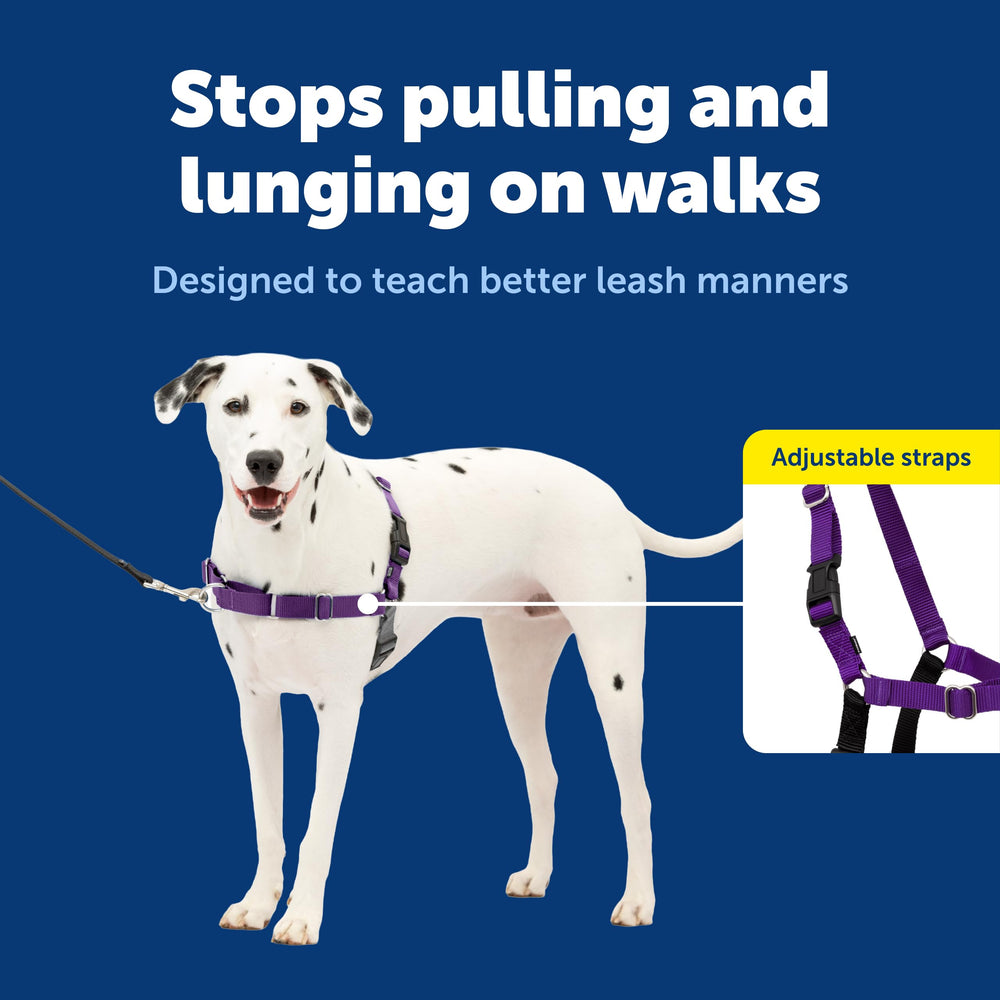 PetSafe Easy Walk five-point adjustability ensures a perfect fit.