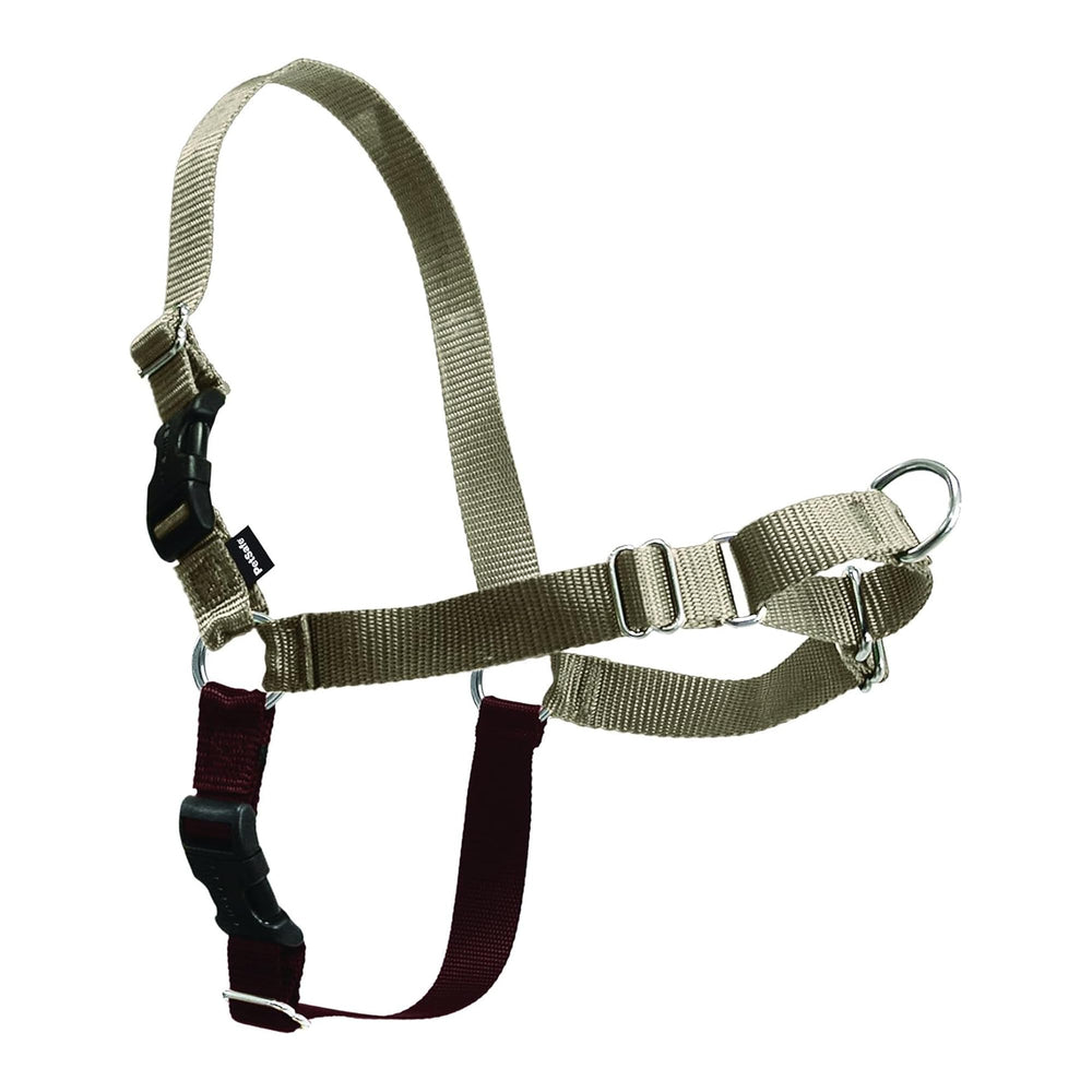 Petsafe Easy Walk front-clip harness demonstrates no-pull support for calmer walks.