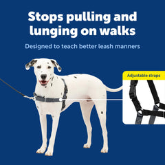 Petsafe Easy Walk front-clip with no-pull design helps gentle steering.