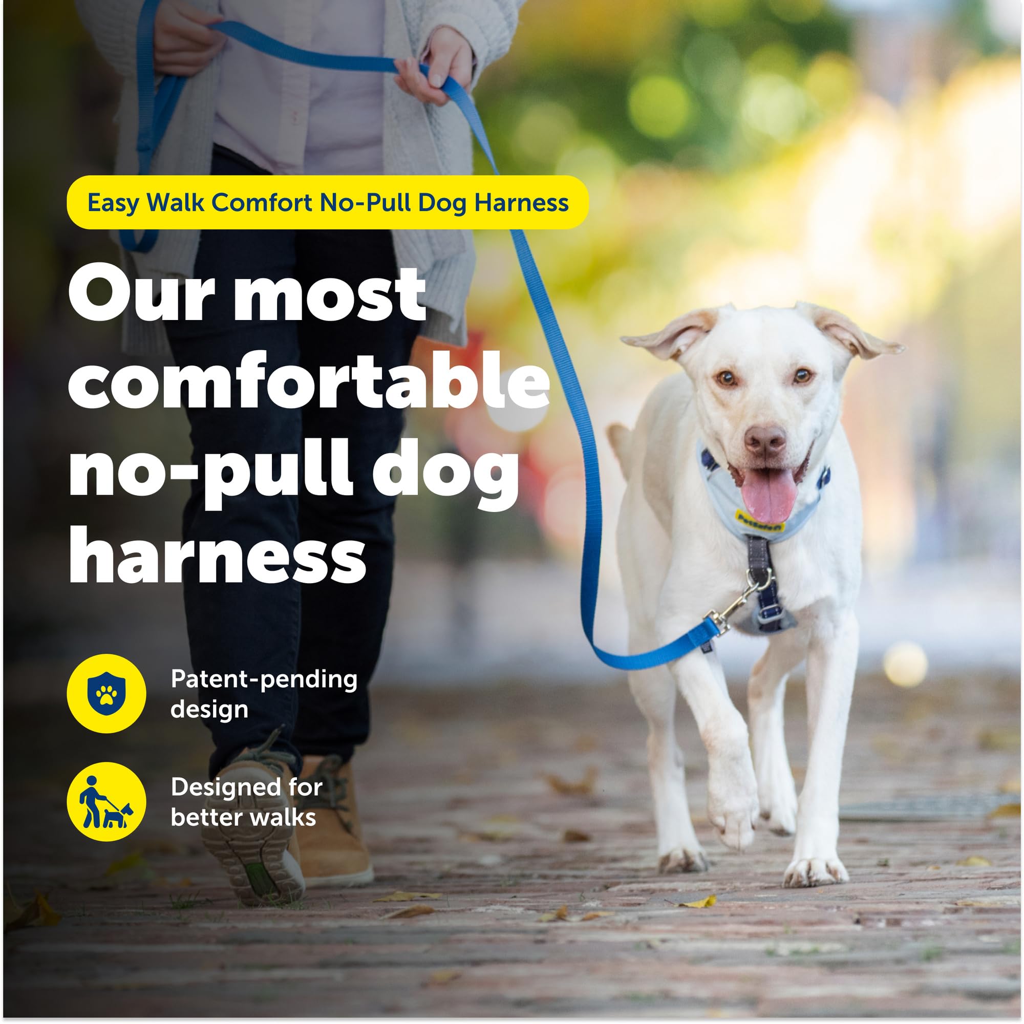 PetSafe Easy Walk front martingale loop aiding gentle redirection during leash training