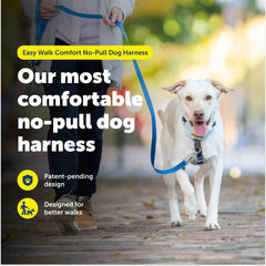 PetSafe Easy Walk front martingale loop aiding gentle redirection during leash training