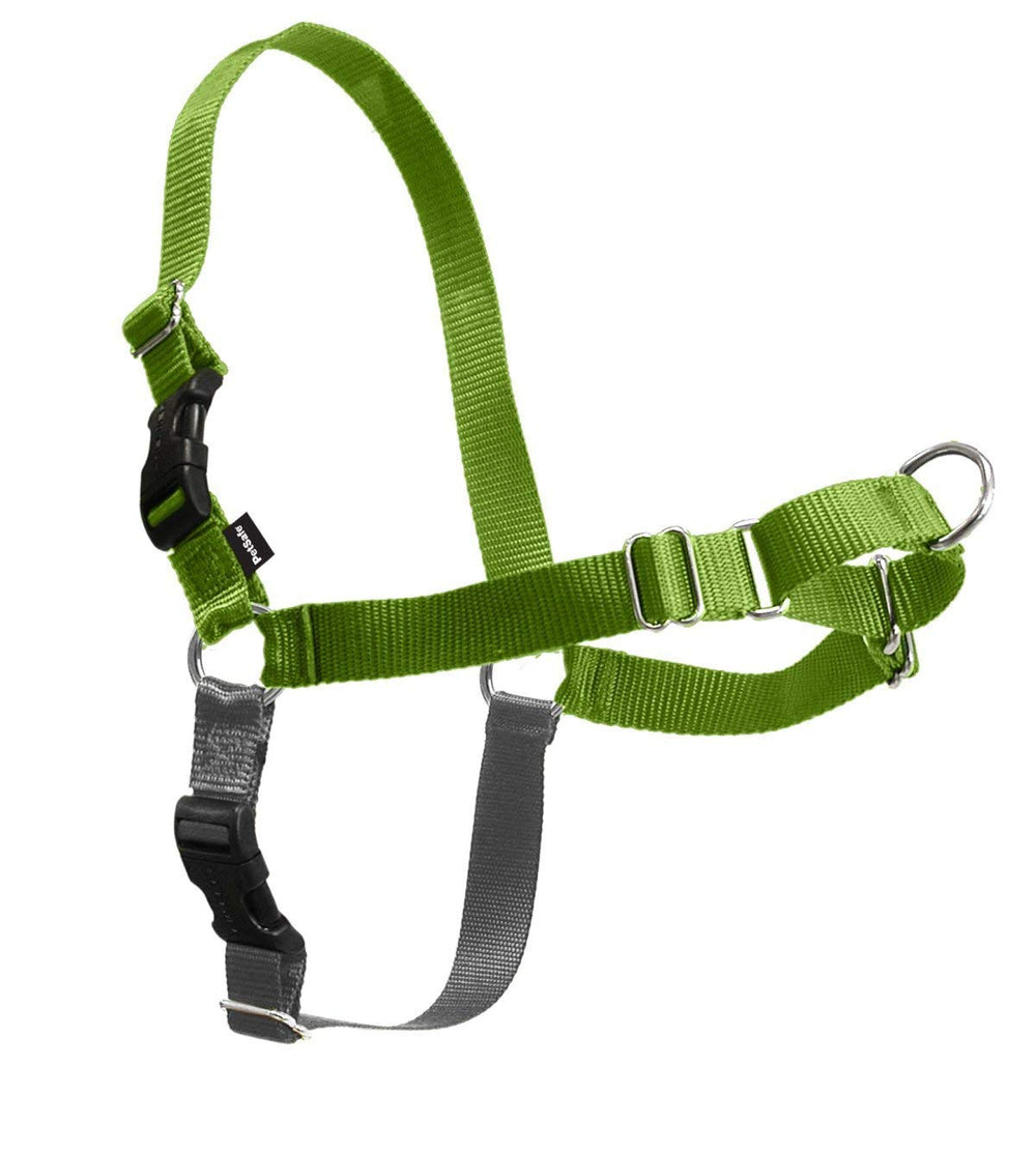 PetSafe Easy Walk harness apple-green-color adds visibility and style on walks.