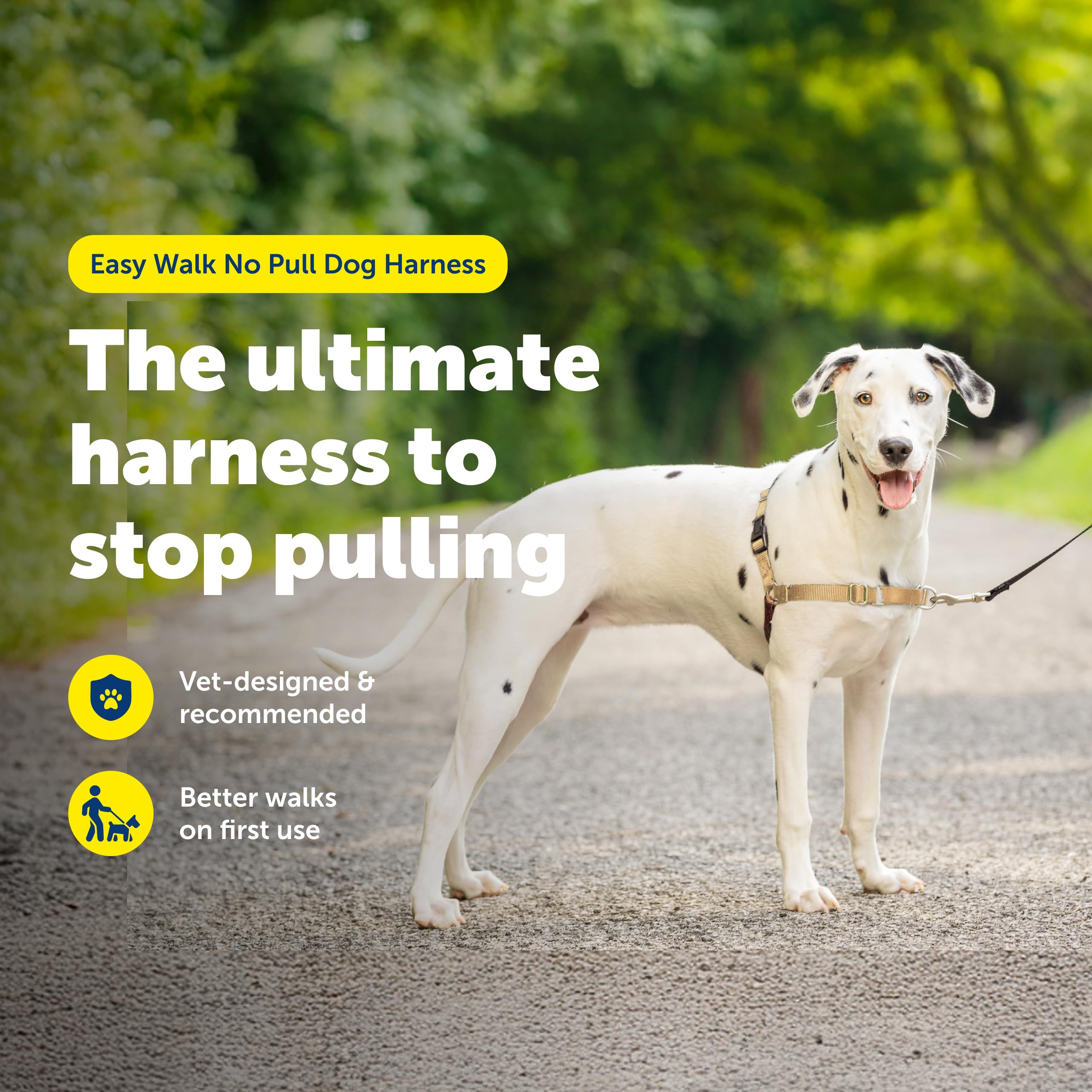 PetSafe Easy Walk harness back view highlighting breathable design.