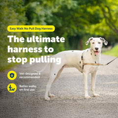 PetSafe Easy Walk harness back view highlighting breathable design.