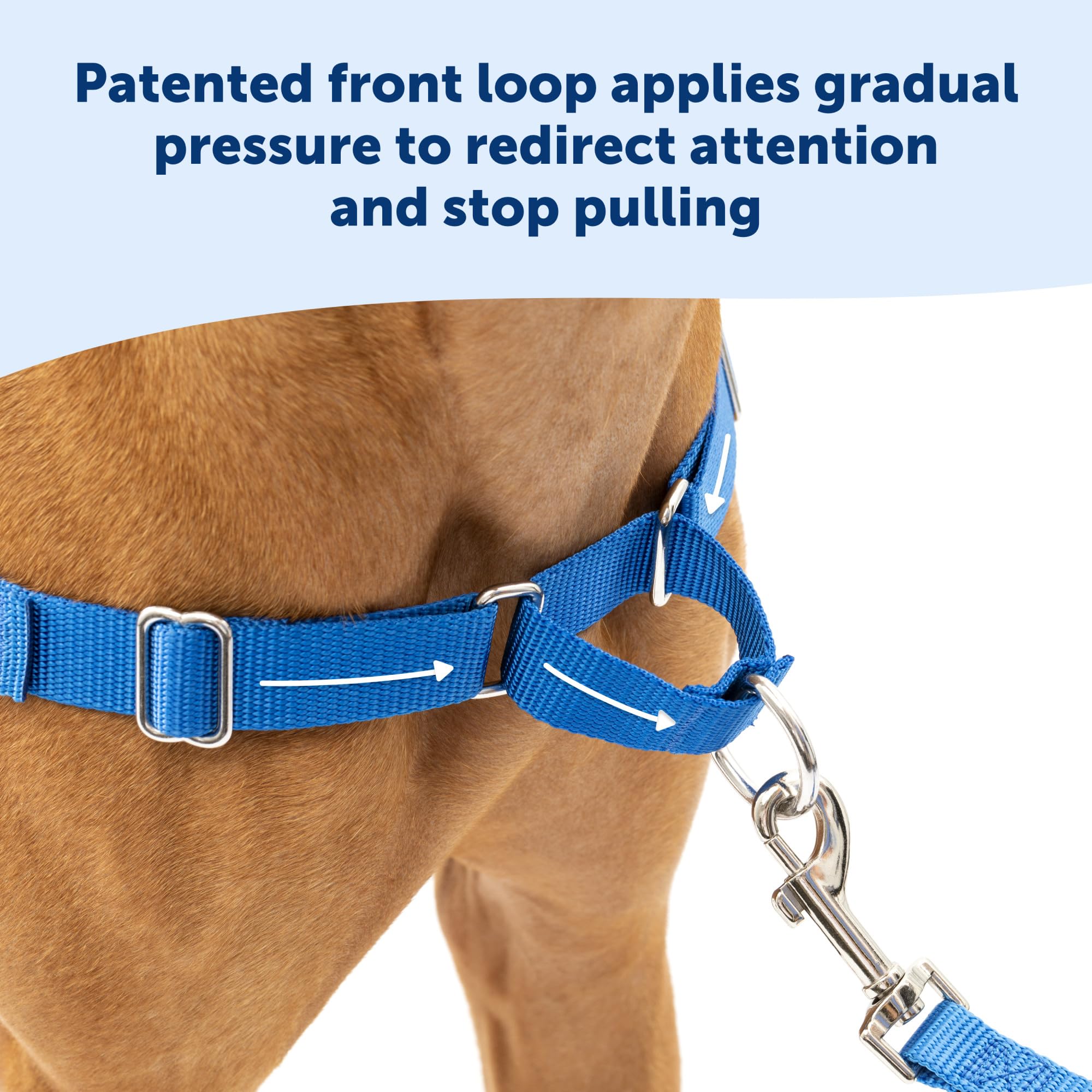 PetSafe Easy Walk breathable chest design keeps dogs cool