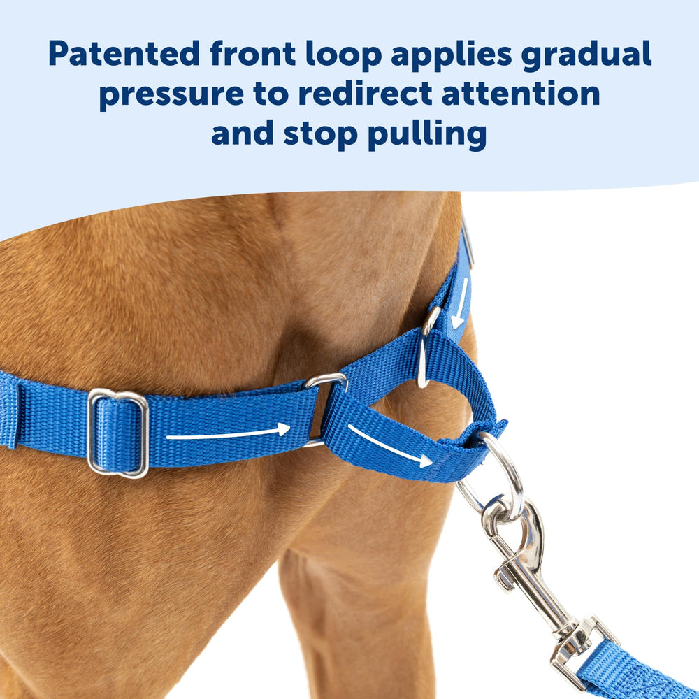 PetSafe Easy Walk breathable chest design keeps dogs cool