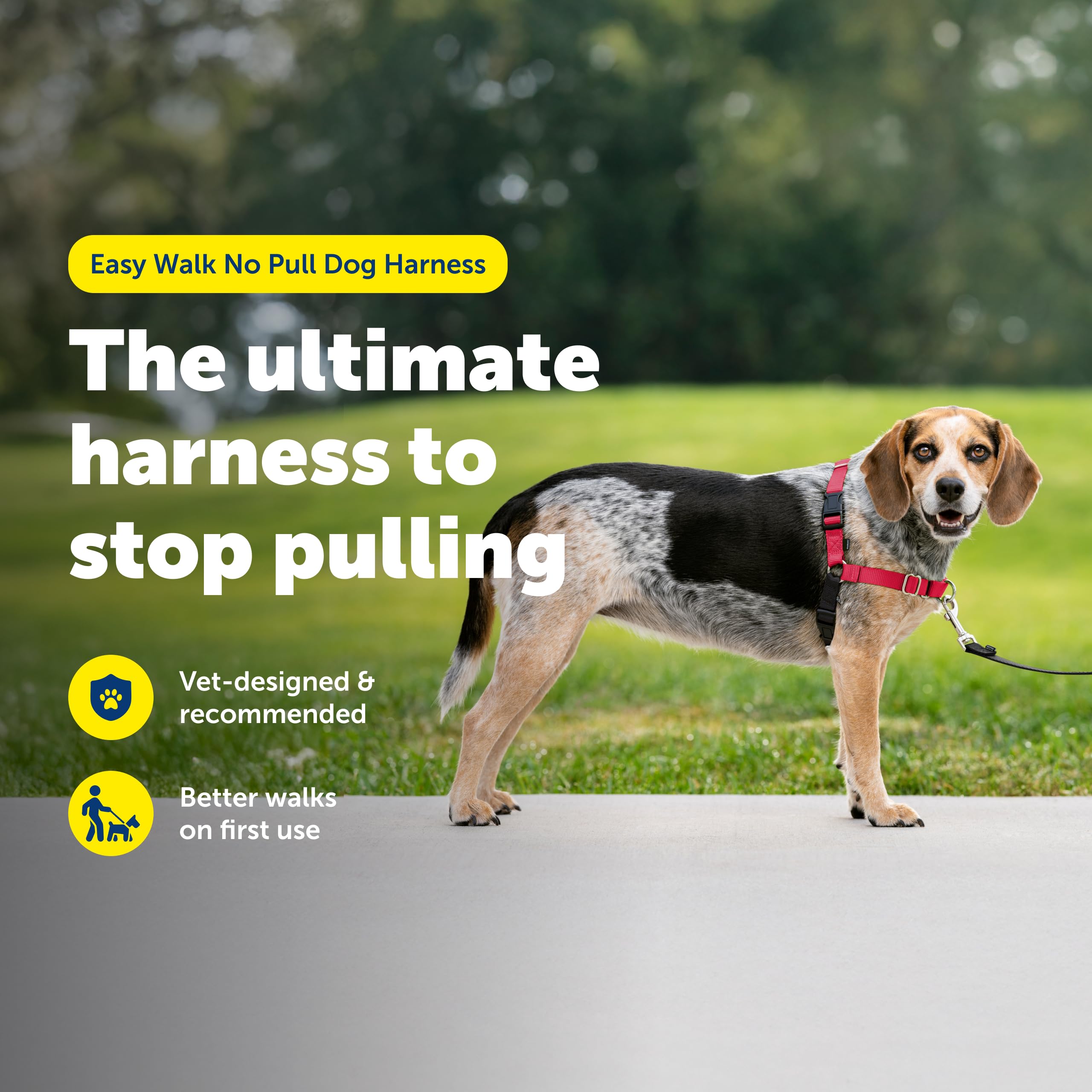 PetSafe Easy Walk breathable-material keeps dog cool on walks