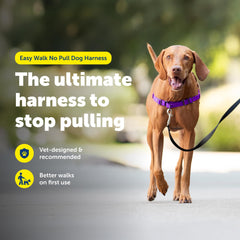 PetSafe Easy Walk breathable-material harness stays cool for dogs.