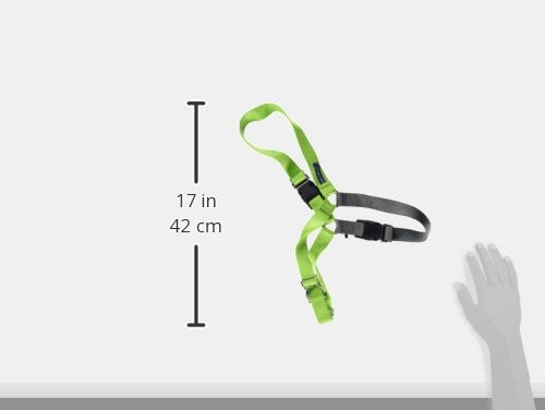 PetSafe Easy Walk harness breathable-material keeps dogs cool on long outings.