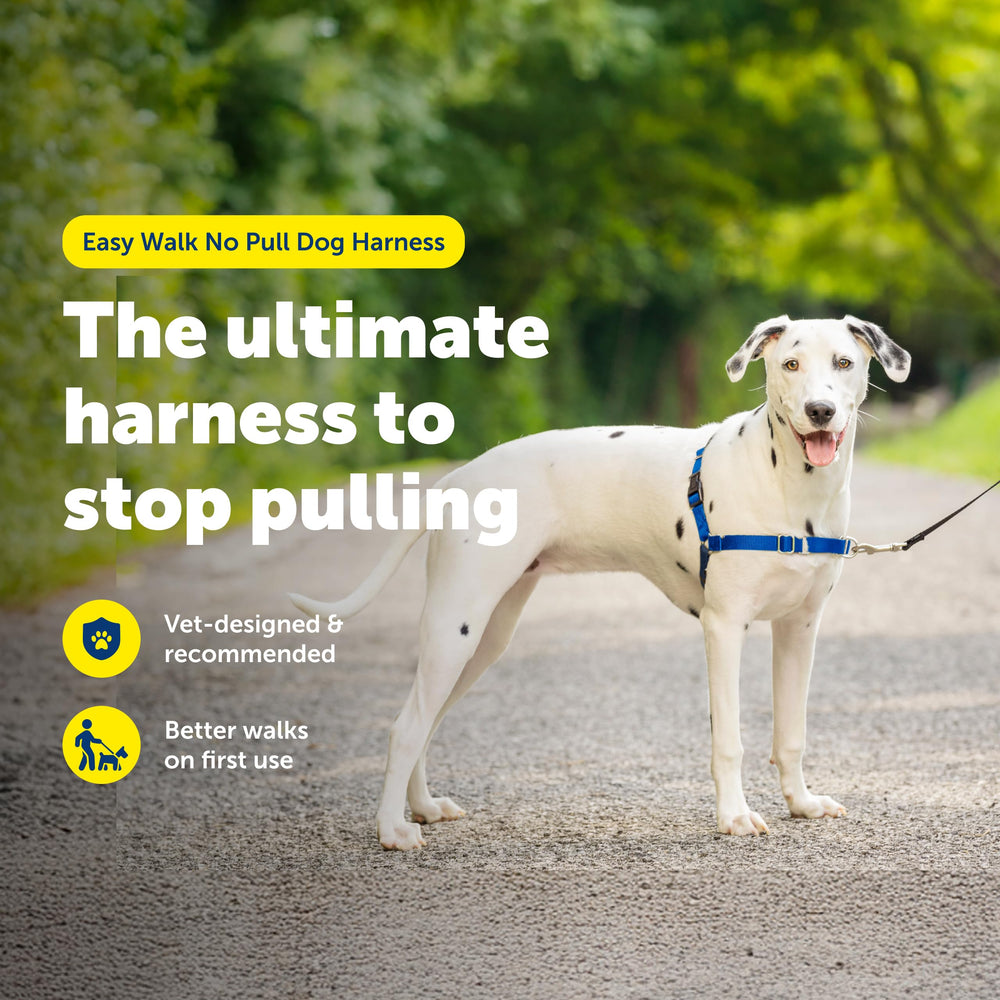 PetSafe Easy Walk Harness chest display highlights lightweight, breathable fit for comfortable daily walks.