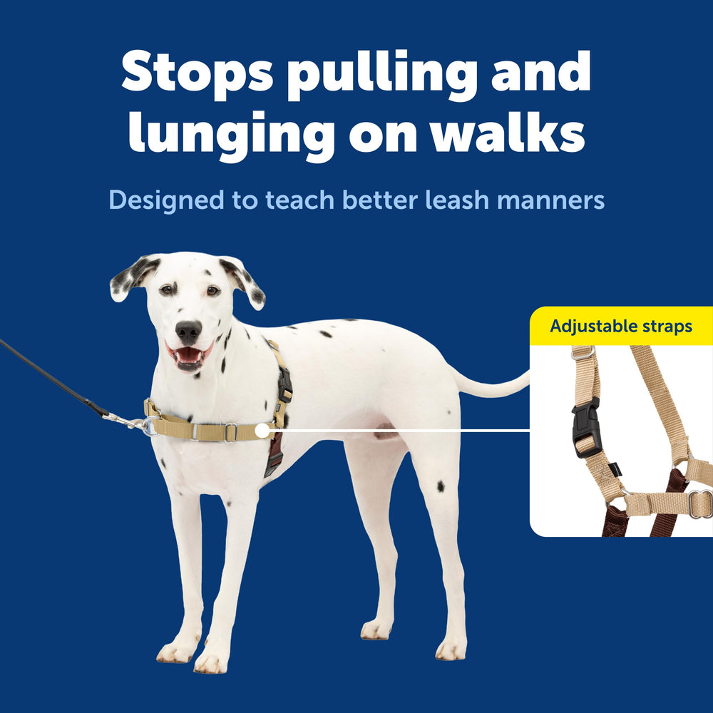 PetSafe Easy Walk chest and martingale loop close-up showing no-pull mechanism.
