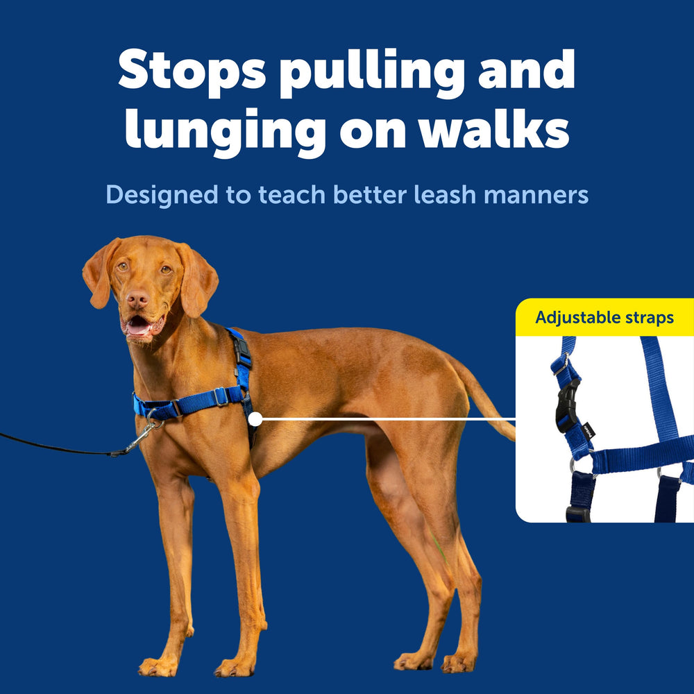 PetSafe Easy Walk chest-strap design prevents throat gagging during walks.
