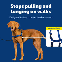 PetSafe Easy Walk chest-strap design prevents throat gagging during walks.