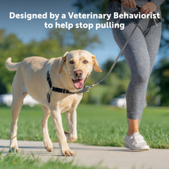 PetSafe Easy Walk chest-strap details improve front-leash control and fit.