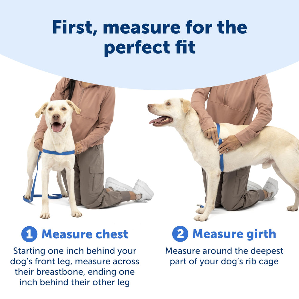 PetSafe Easy Walk color coded belly strap for quick fitting
