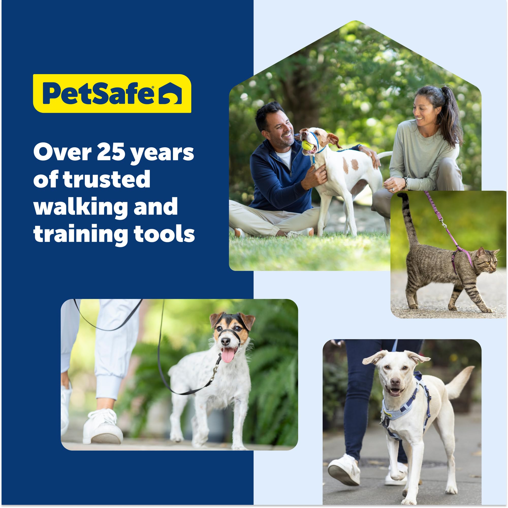 Petsafe Easy Walk coordinated set with leash and collar