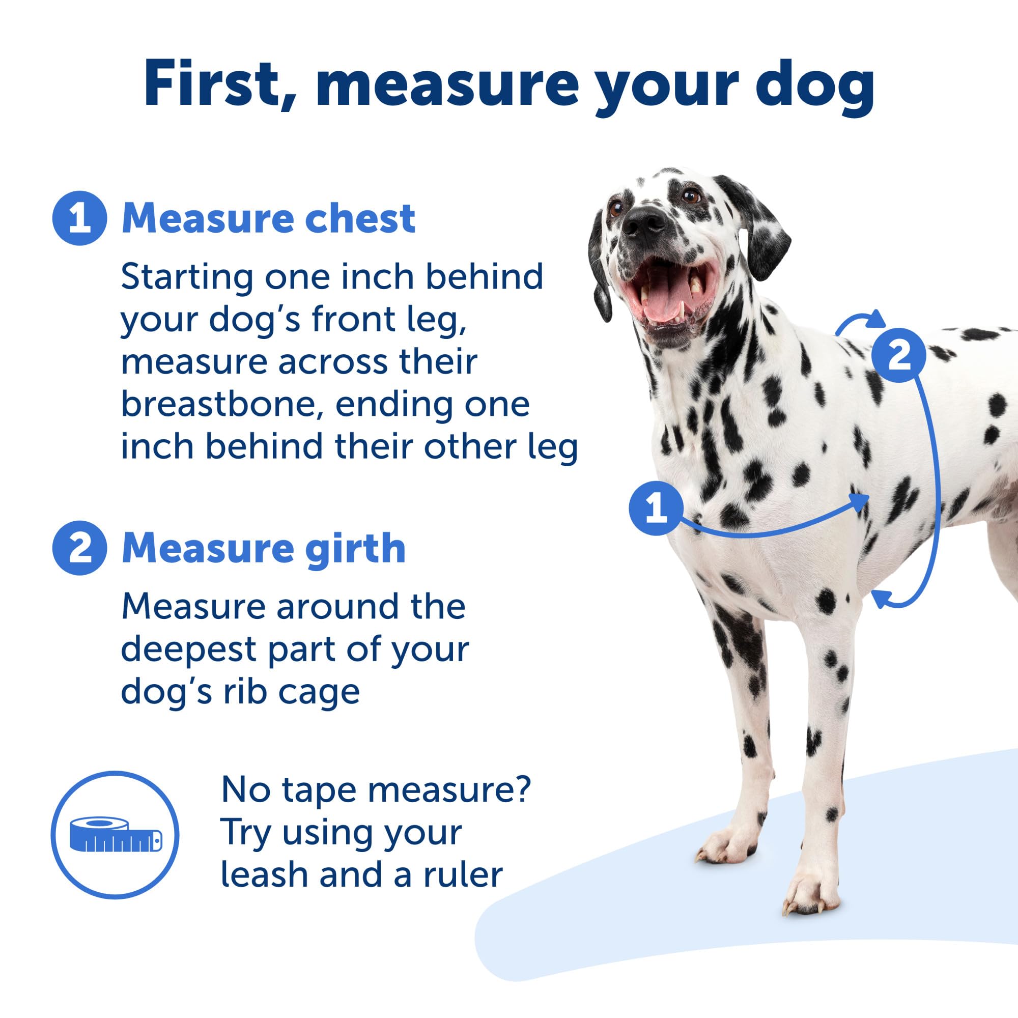 PetSafe Easy Walk durable materials support daily adventures