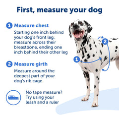 PetSafe Easy Walk durable materials support daily adventures
