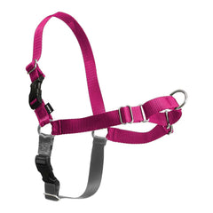 PetSafe Easy Walk harness front attachment for gentle, pull-free walks.