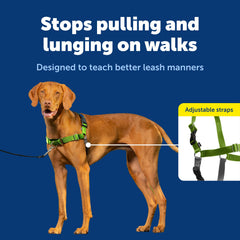 PetSafe Easy Walk front leash attachment enables guided, pull-free walking