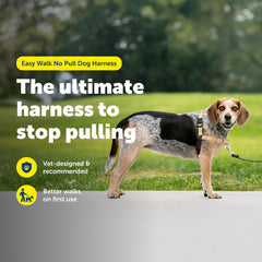 PetSafe Easy Walk harness front leash attachment helps guide the dog
